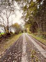 Hundeauslaufgebiet-Rüsterbarg-Bild