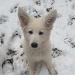 Ersteller:in Anja Profilbild