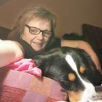 Ersteller:in Ingeborg Profilbild