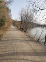 Hundeauslaufgebiet-Pösinger Au - Waldgebiet am Lech-Bild