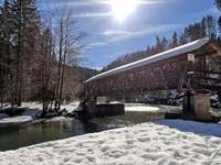 Hundeauslaufgebiet-An der Ammer-Bild