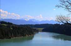 Hundeauslaufgebiet-Bei der Lechtalbrücke-Bild