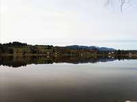 Hundeauslaufgebiet-Bayersoier See-Bild