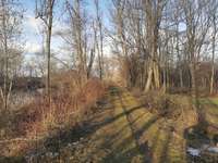 Hundeauslaufgebiet-Segelclub Irsingen /Bad Wörishofen-Bild