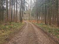 Hundeauslaufgebiet-Runde Hartenthal-Bild