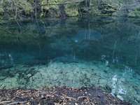 Hundeauslaufgebiet-Pösinger Au - Waldgebiet am Lech-Bild