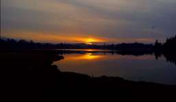 Hundeauslaufgebiet-Bayersoier See-Bild