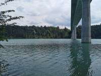 Hundeauslaufgebiet-Bei der Lechtalbrücke-Bild