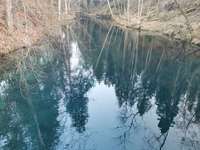 Hundeauslaufgebiet-Pösinger Au - Waldgebiet am Lech-Bild