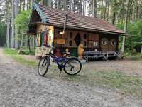 Hundeauslaufgebiet-Denklinger Forst, Walderlebnispfad-Bild