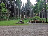 Hundeauslaufgebiet-Denklinger Forst, Walderlebnispfad-Bild