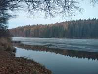 Hundeauslaufgebiet-Sachsenrieder Forst-Bild