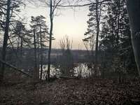 Hundeauslaufgebiet-Pösinger Au - Waldgebiet am Lech-Bild