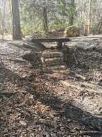 Hundeauslaufgebiet-Paterzeller Eibenwald-Bild