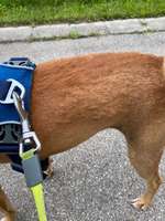 Mückenstiche ?-Beitrag-Bild