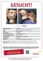 Suchmeldung-Elli-Bild