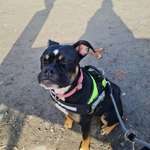 Ersteller:in Pe Ggy Profilbild