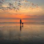 Ersteller:in Madleen Profilbild