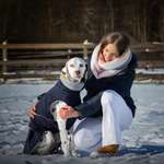 Ersteller:in Madleen Profilbild