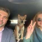 Ersteller:in Robert Profilbild