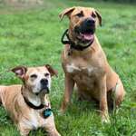 Ersteller:in Nadine Profilbild