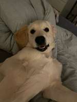 Darmaufbau-Beitrag-Bild