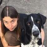 Ersteller:in Alida Profilbild