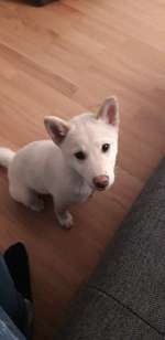 Erfahrungen mit Panacur 500?-Beitrag-Bild