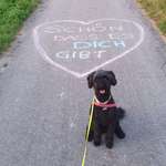 Ersteller:in Katharina Profilbild