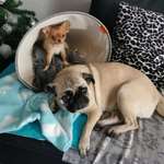 Ersteller:in Karina Profilbild