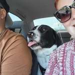 Ersteller:in Lisa Profilbild