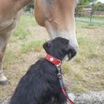 Ersteller:in Petra Profilbild