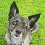 Ersteller:in Sandra Profilbild