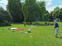 Hundeauslaufgebiet-Haumannplatz/Schönleinstraße-Bild