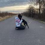 Ersteller:in Neele Profilbild