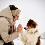 Ersteller:in Nele Profilbild