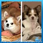 Ersteller:in Annet Profilbild