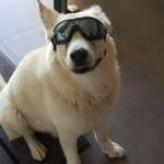 Ersteller:in Michaela Profilbild