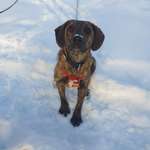 Ersteller:in Malou Profilbild