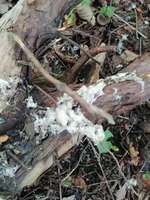 was ist das?-Beitrag-Bild