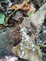 was ist das?-Beitrag-Bild