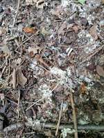 was ist das?-Beitrag-Bild