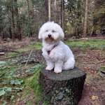 Ersteller:in Josi Profilbild