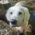 Ersteller:in Franziska Profilbild