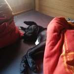 Ersteller:in Hardy Profilbild