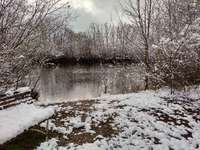 Hundeauslaufgebiet-Naturlehrpfad Feldmühle-Bild