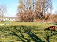 Hundeauslaufgebiet-Loosdorf (Melk)-Bild