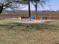 Hundeauslaufgebiet-Hundezone Hafnerbach-Bild