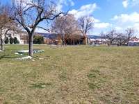 Hundeauslaufgebiet-Hundezone Hafnerbach-Bild