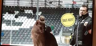 Fotochallenge No. 5-Beitrag-Bild